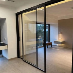 Interior Sliding Glass Door to Divide Bedroom and Closet